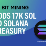 BIT Mining boosts SOL holdings by 17,221, total Solana treasury surpasses 44,000 SOL